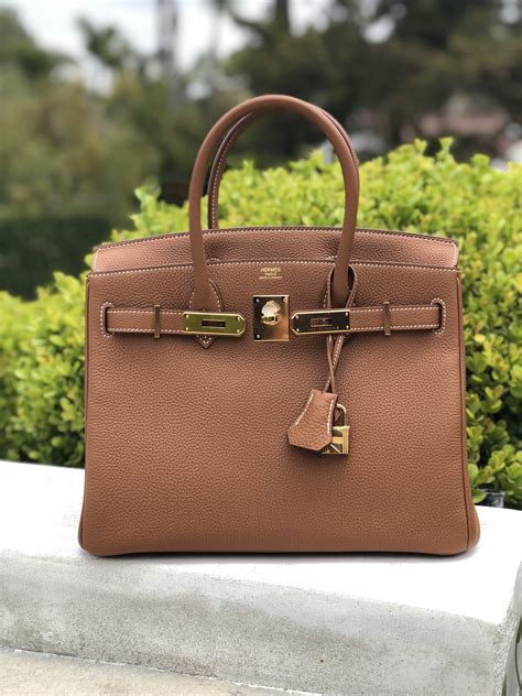 which Hermes bag to buy